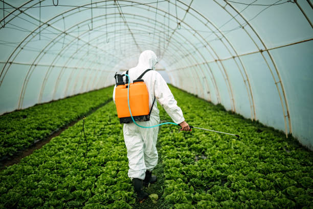Best Pest Inspection Near Me  in Clayton, MO