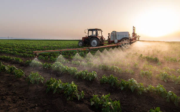 Best Commercial Pest Control Services  in Clayton, MO