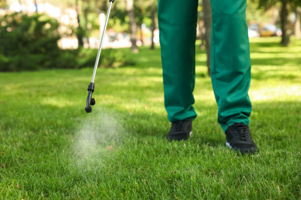 Best Insect Control  in Clayton, MO