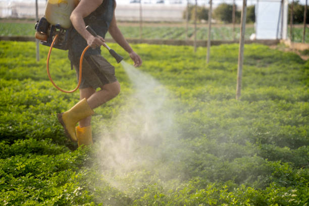 Best Pest Removal Services  in Clayton, MO