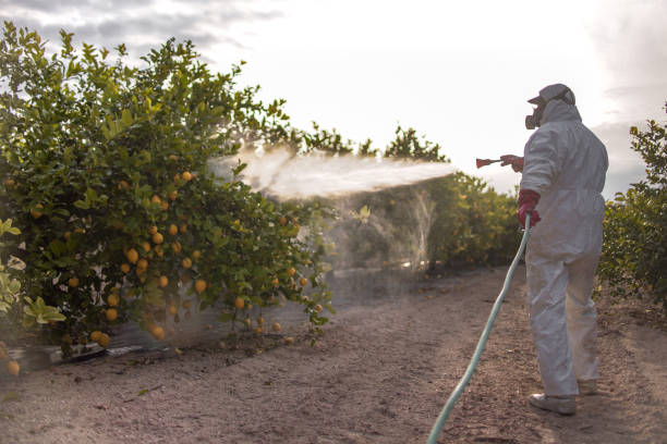 Best Pest Control for Businesses  in Clayton, MO