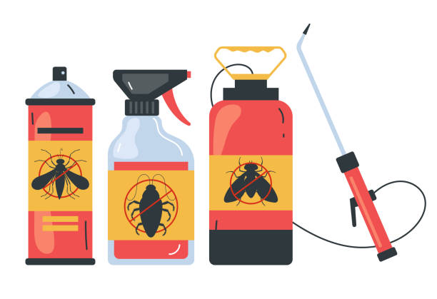 Best Termite Control Services  in Clayton, MO