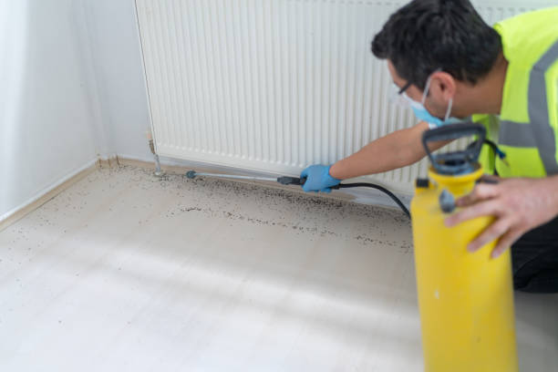 Reliable Clayton, MO Pest Control Solutions